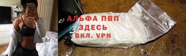 сатива Армянск