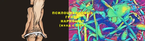 стаф Алексеевка