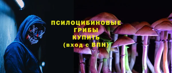 мдпв Арсеньев