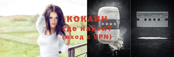spice Алзамай