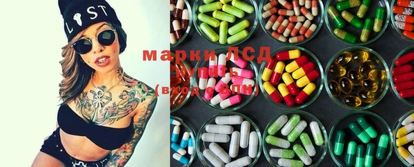 spice Алзамай