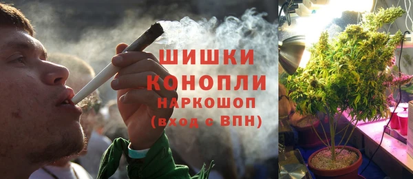 spice Алзамай