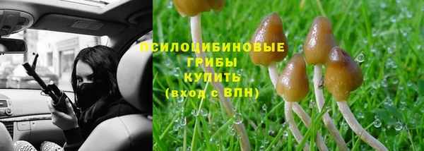 spice Алзамай